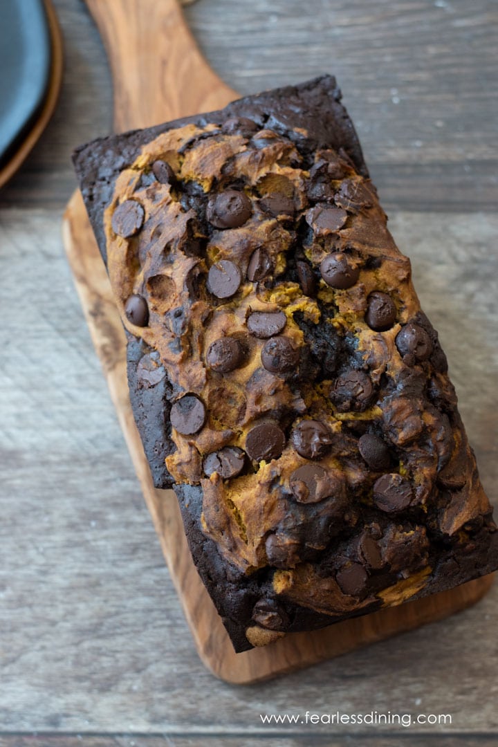 The top view of the baked chocolate pumpkin cake.