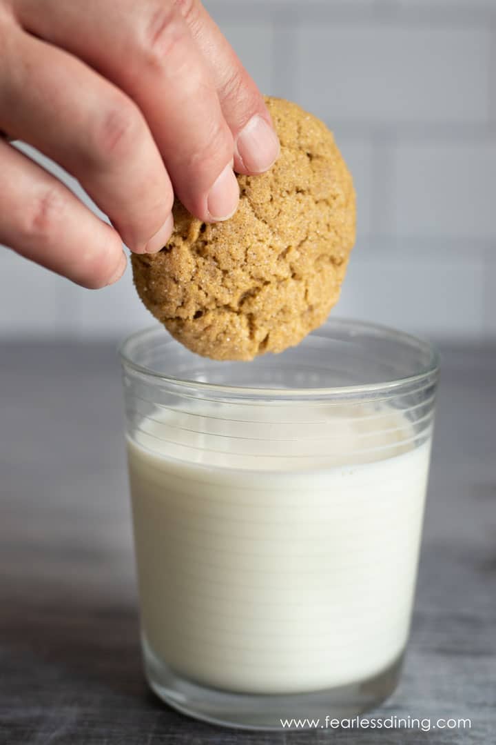 Dipping a pumpkin snickerdoodle in milk.