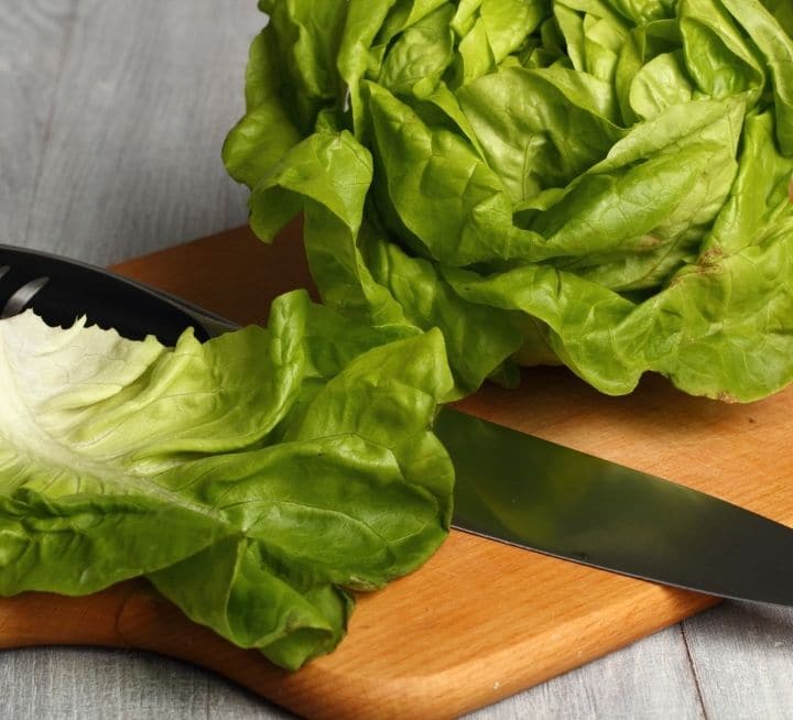 Butter leaf lettuce on a cutting board.