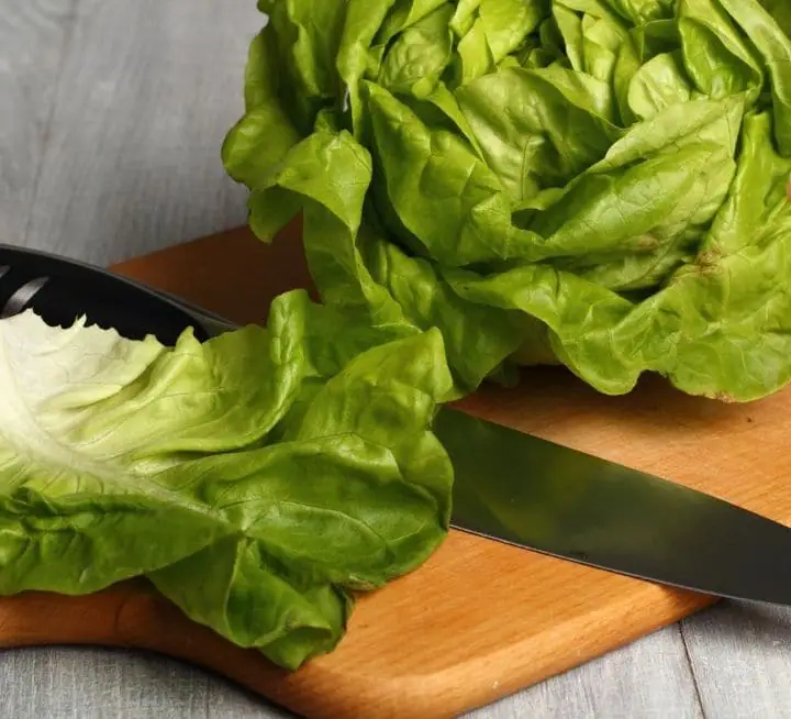 butter leaf lettuce on a cutting board