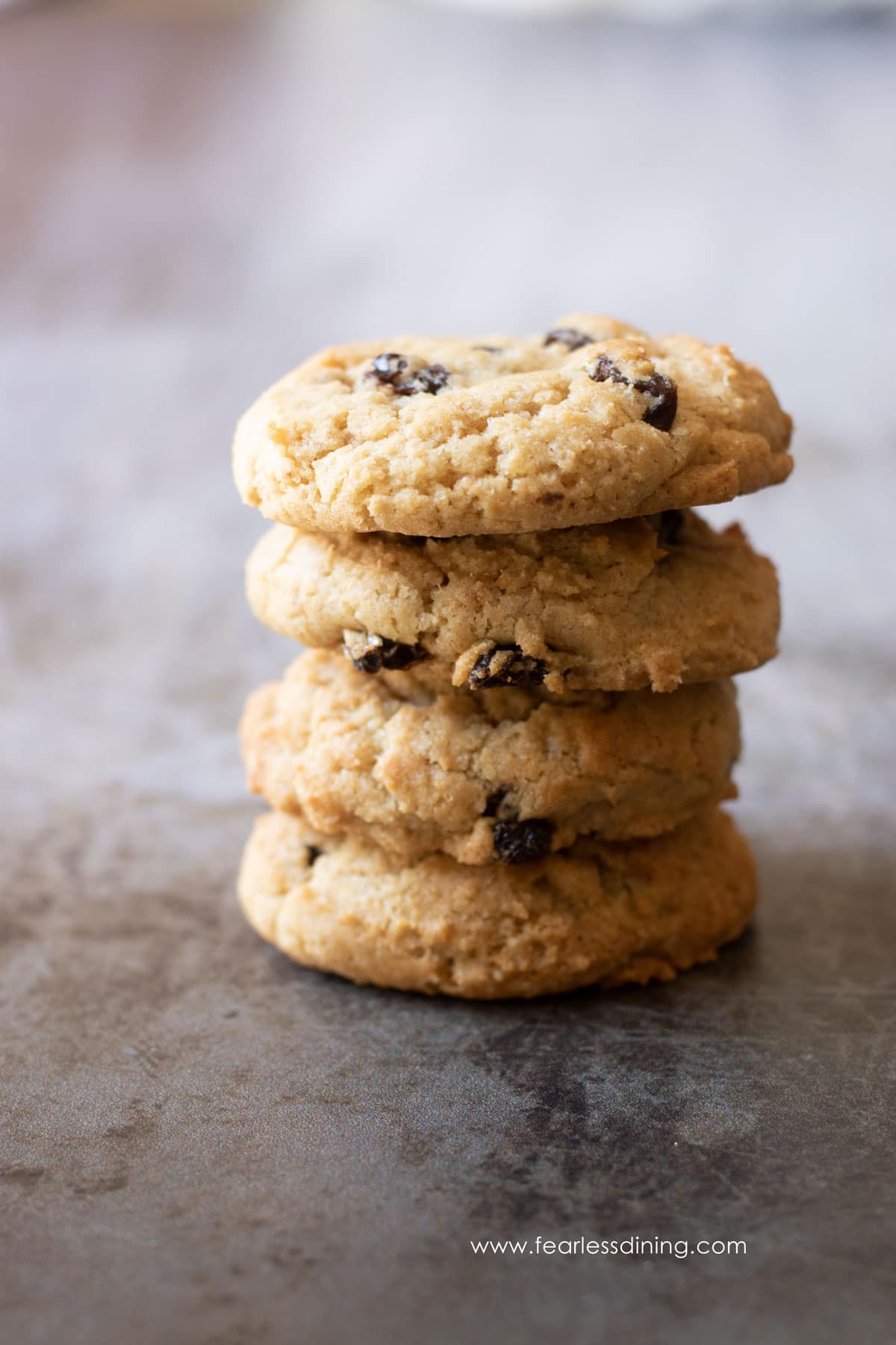 A stack of four gluten free rum raisin cookies.