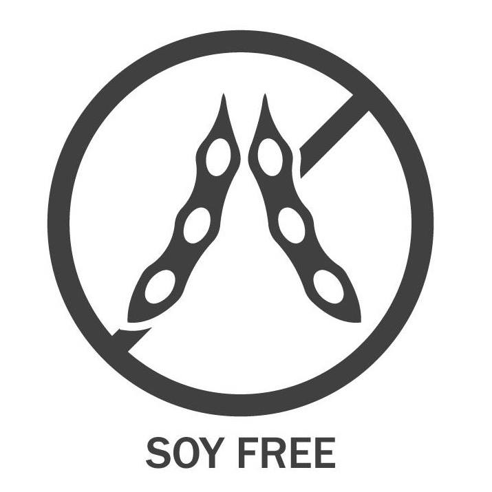 soy free allergy icon