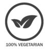 vegetarian icon
