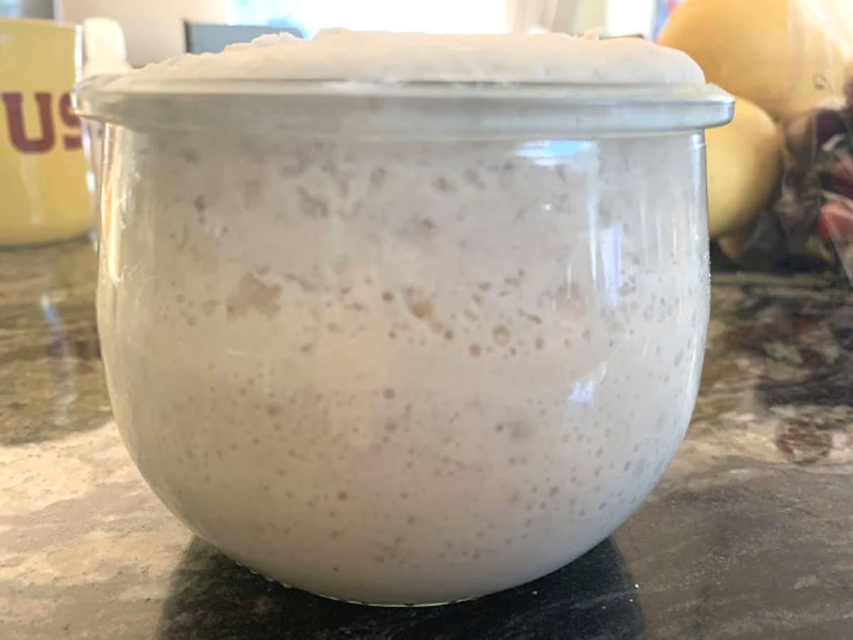 Bubbling sourdough starter in a jar.