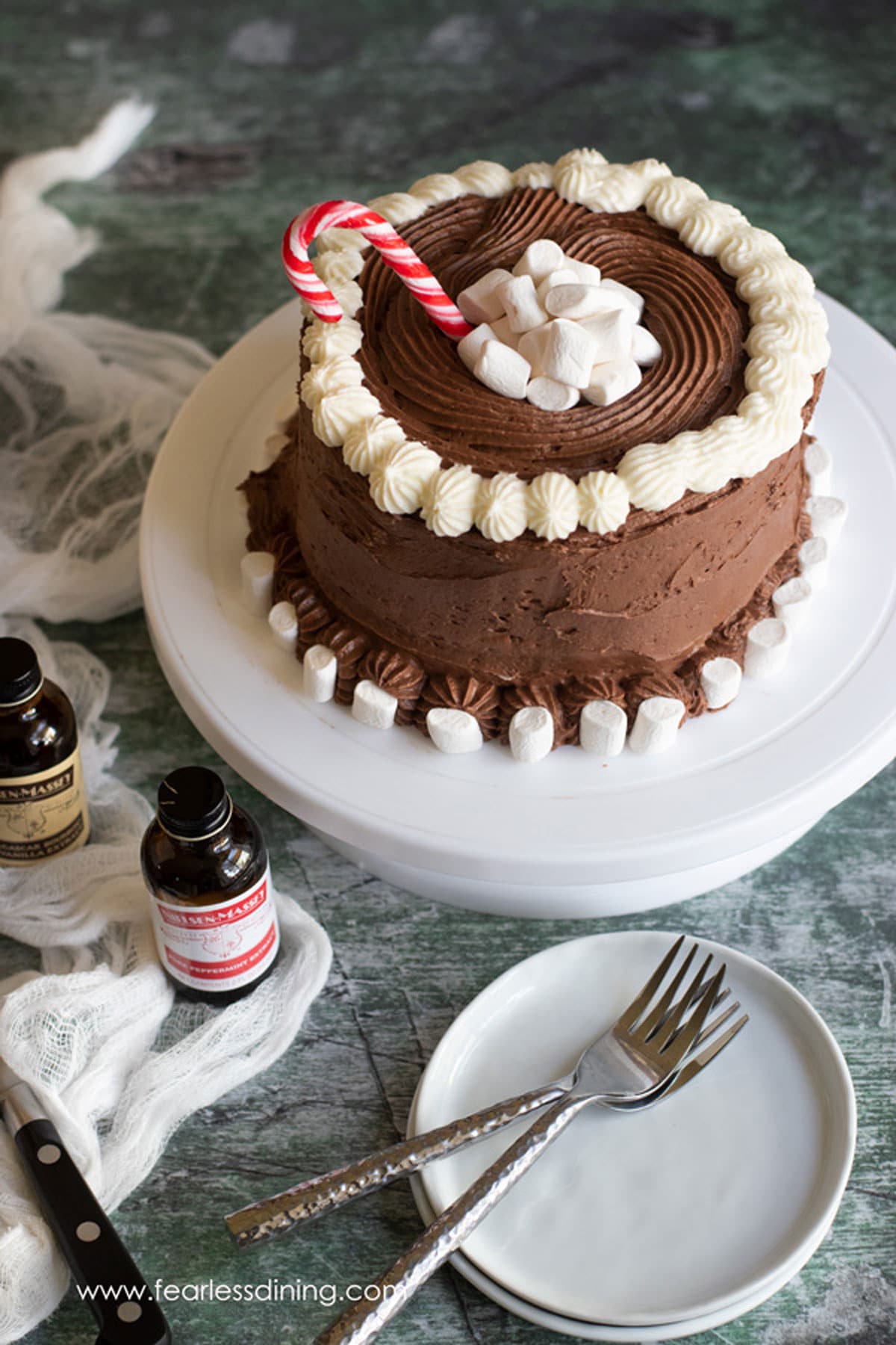 A picture of this chocolate mint cake on a table.