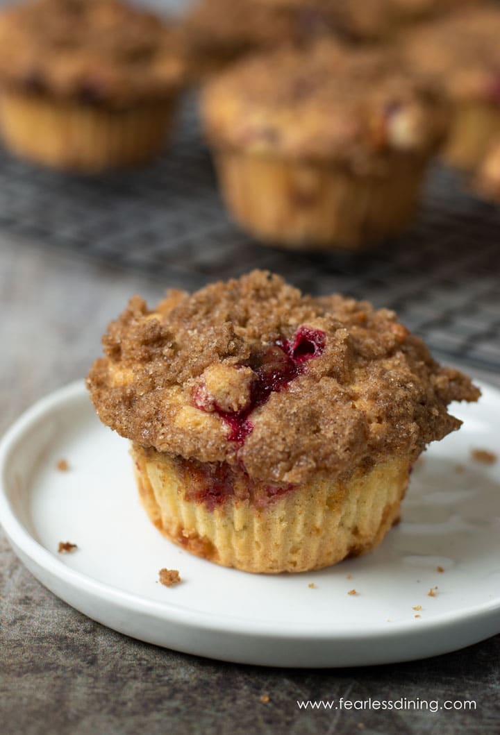 A gluten free cranberry muffin on a small white plate.