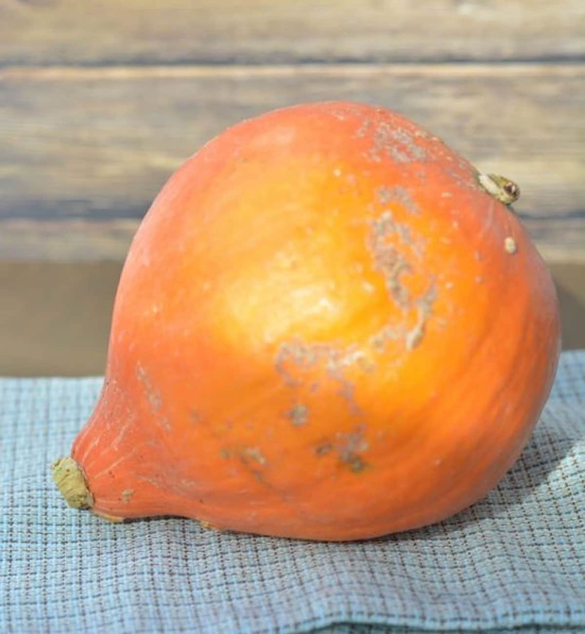 A kuri squash on a cloth napkin,