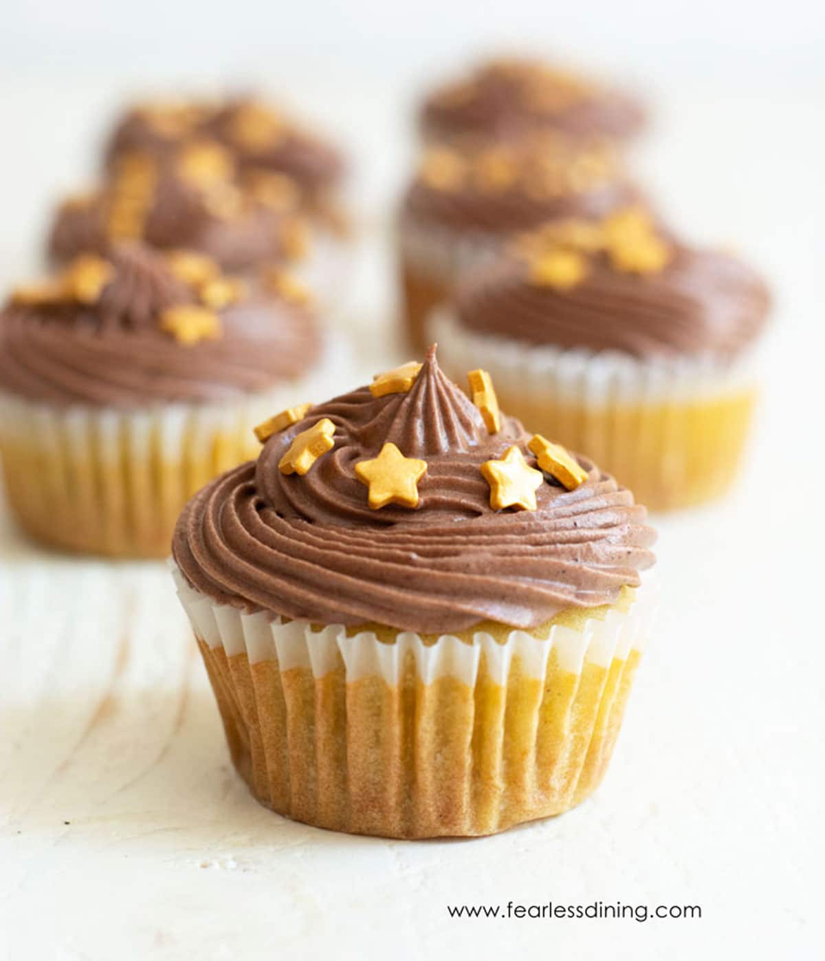 Rows of vanilla cupcakes topped with chocolate frosting.