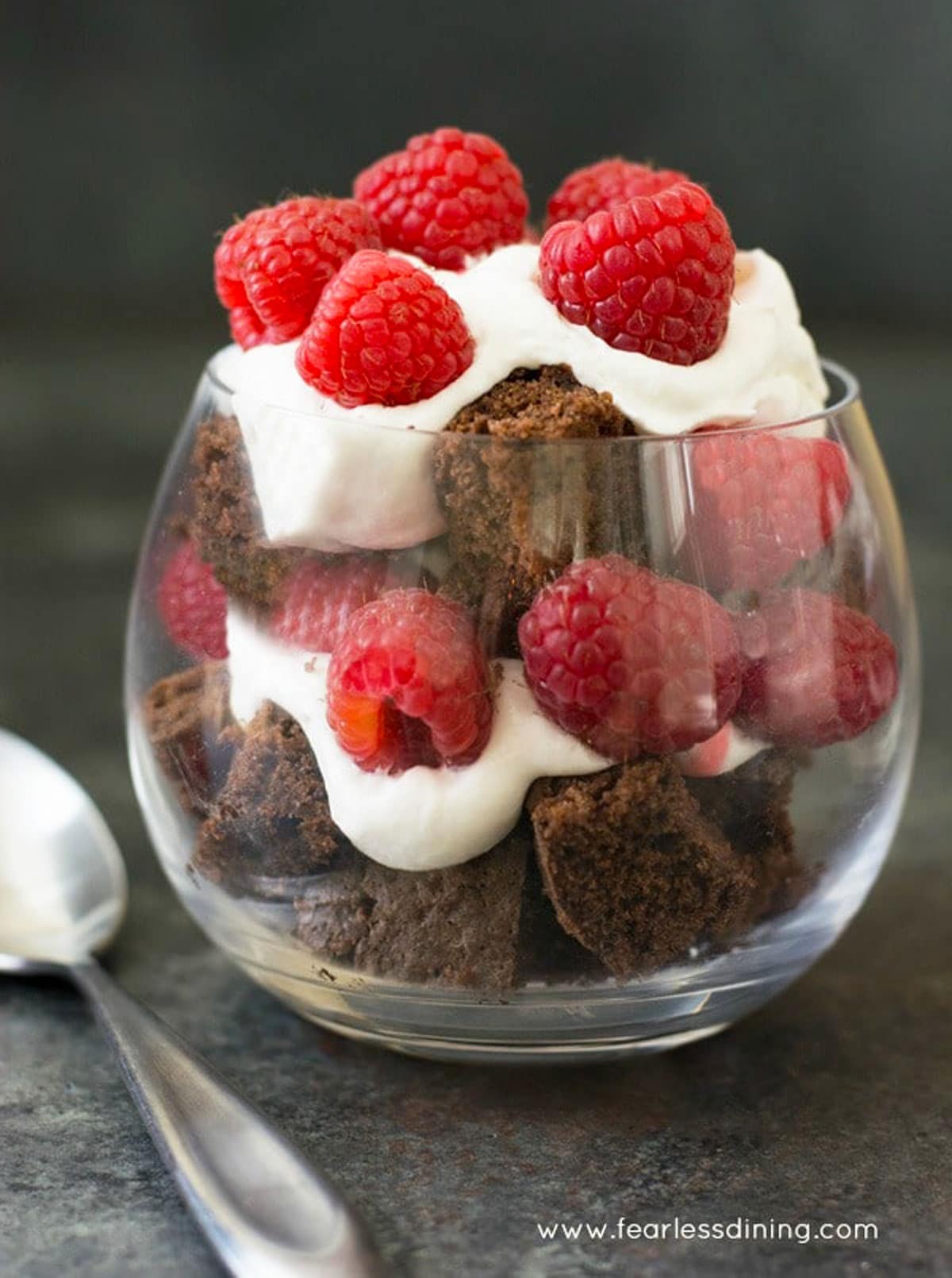A chocolate raspberry trifle on the counter.