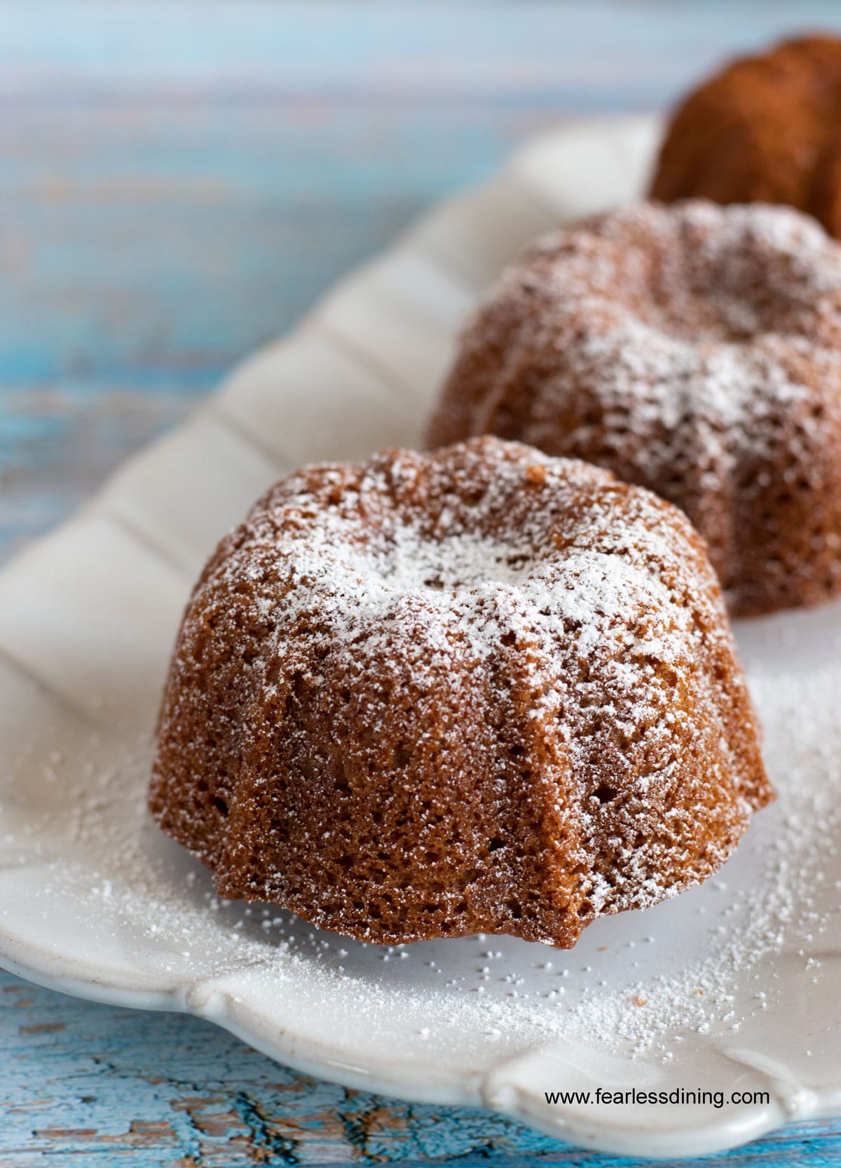 A row of small honey cakes dusted with powdered sugar.