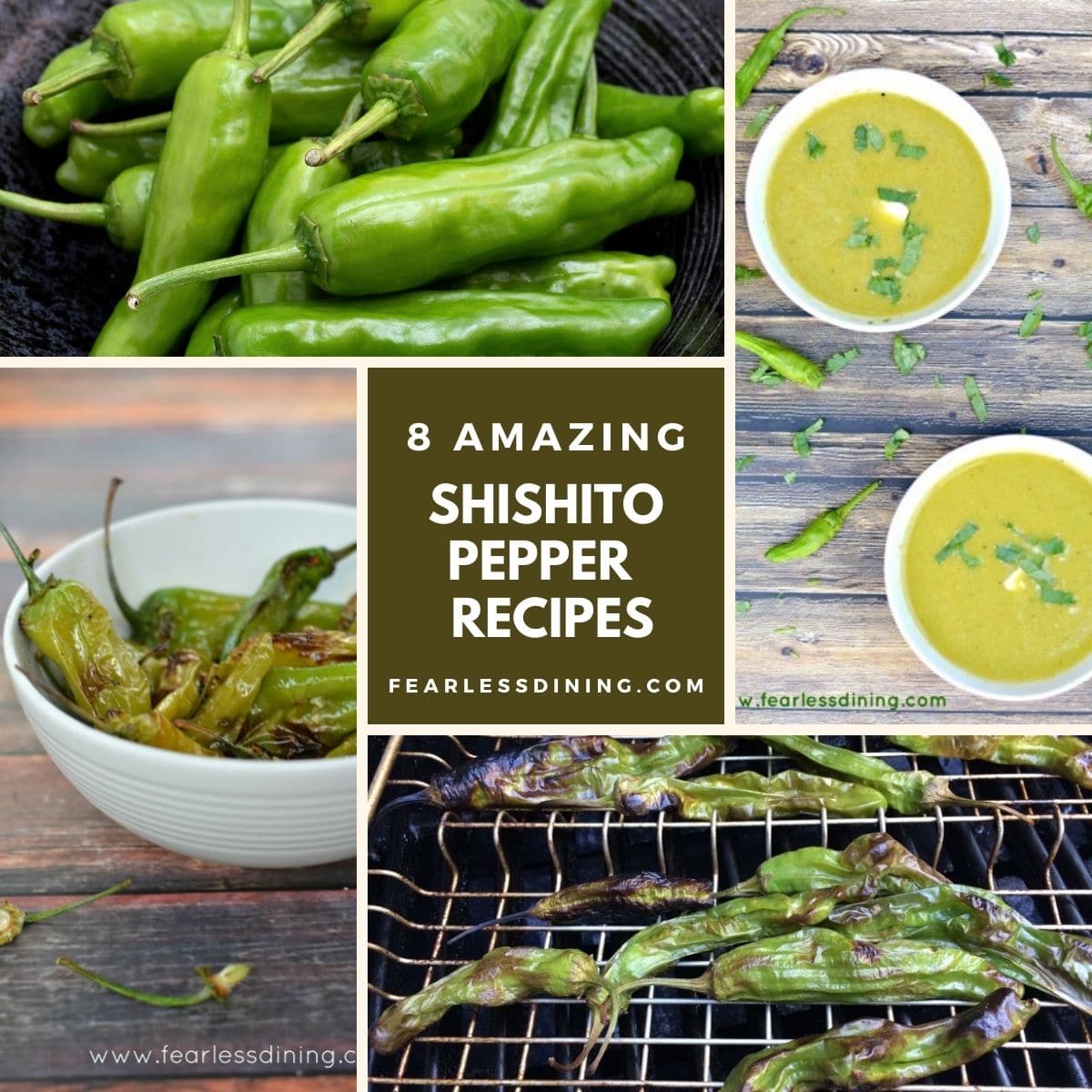 A collection of four shishito pepper recipe photos.