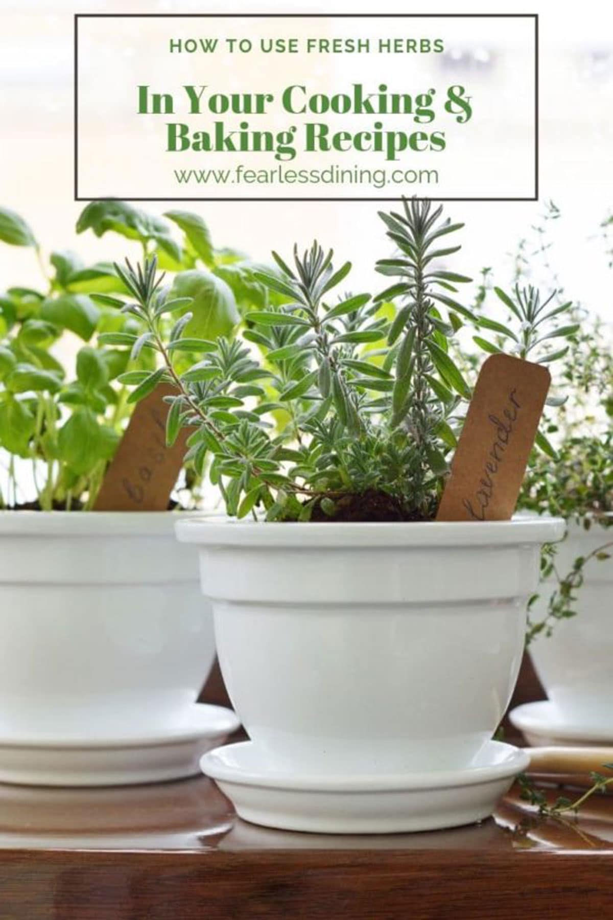 White flower pots with fresh herbs growing in them.