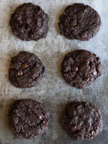 baked espresso cookies lined up on a cookie sheet
