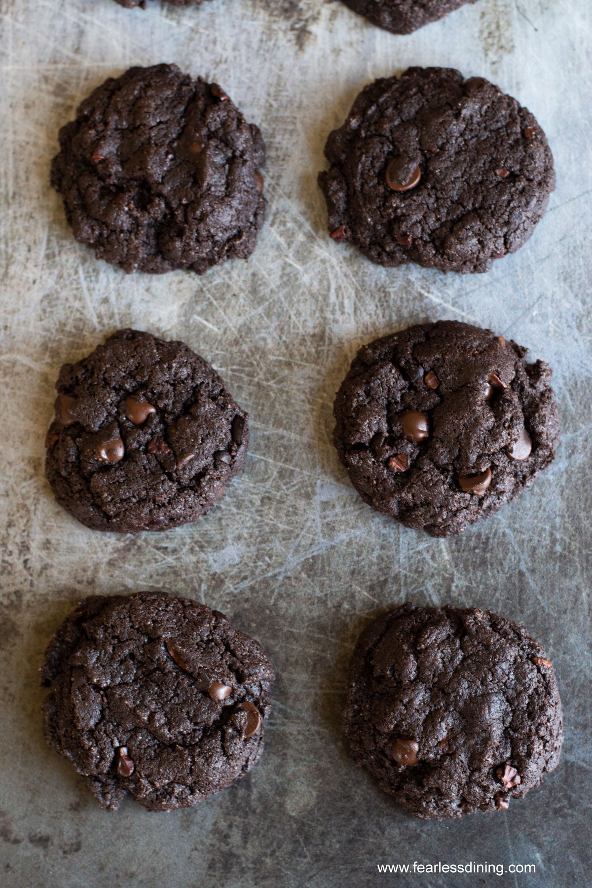 The baked espresso cookies lined up on a cookie sheet.