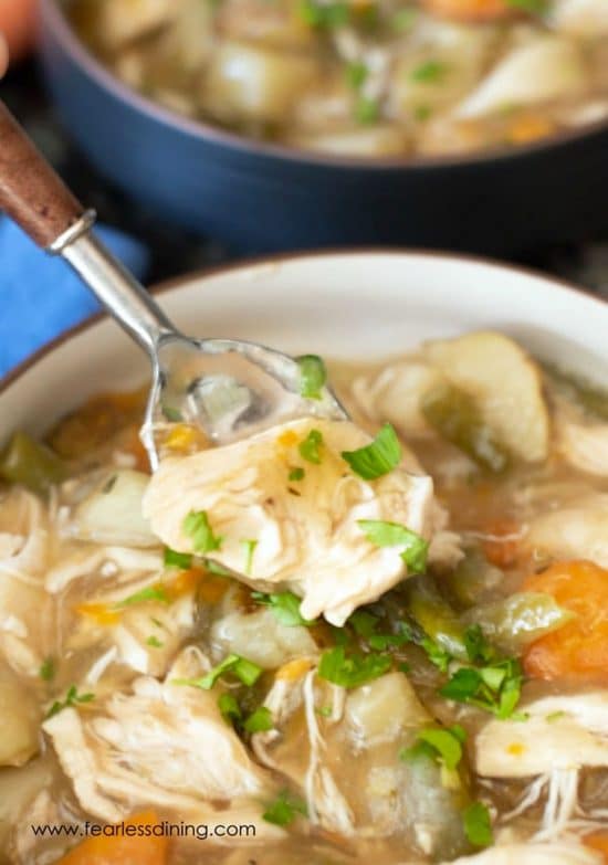 a spoonful of hearty gluten free chicken stew