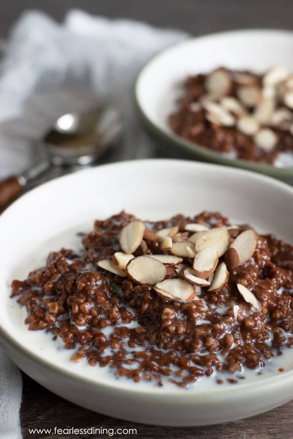 Two bowls of gluten free chocolate steel cut oats.