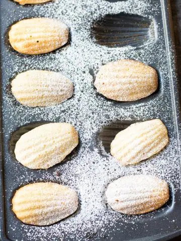 a tray of gluten free madeleines dusted with powdered sugar