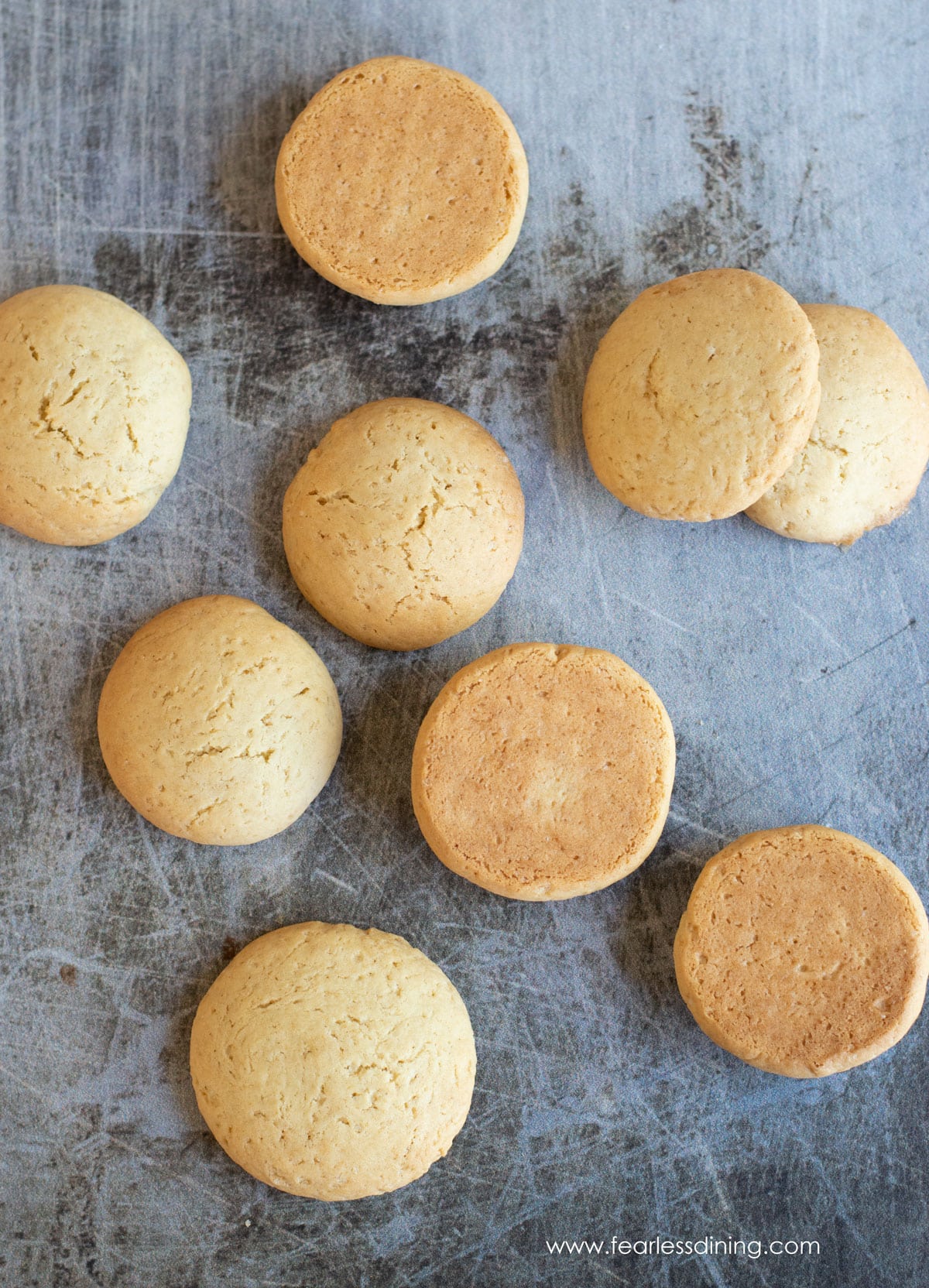 A cookie sheet with baked gluten free vanilla wafer cookies.