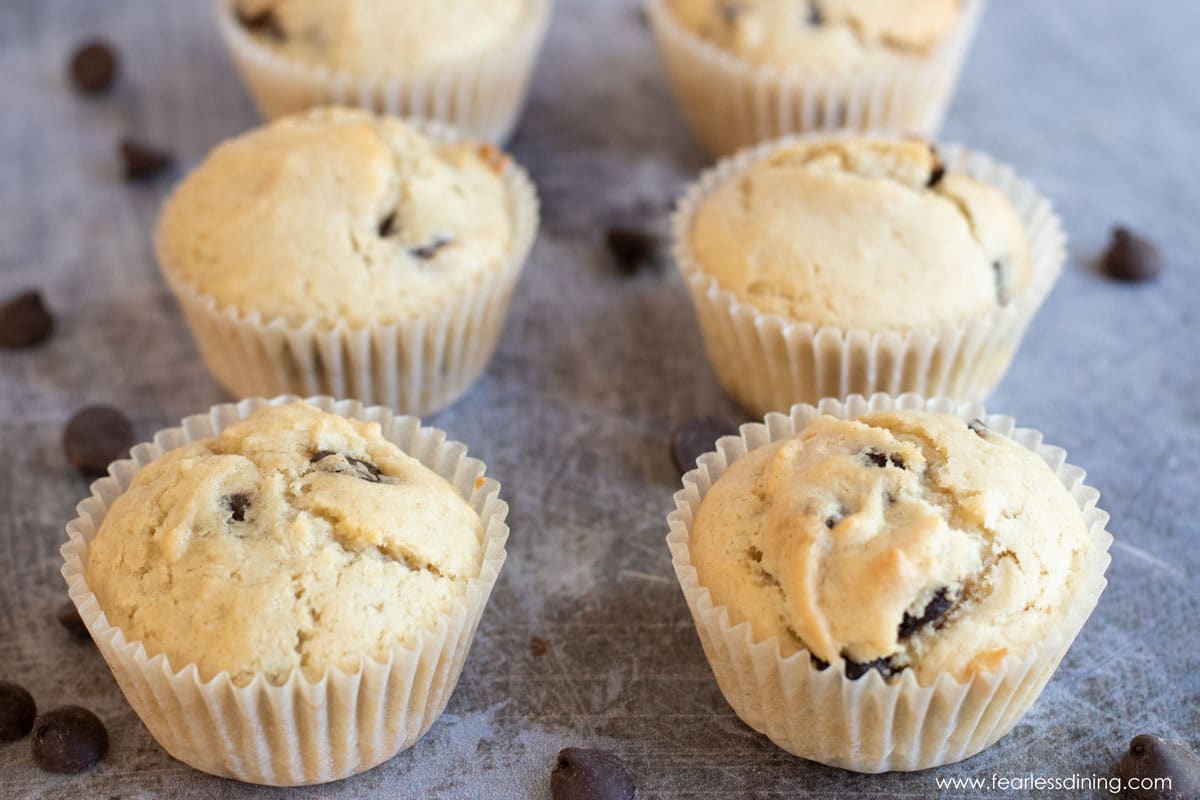 The baked chocolate chip muffins.