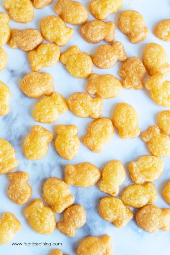 The Best Gluten Free Goldfish Crackers Crispy and Delicious