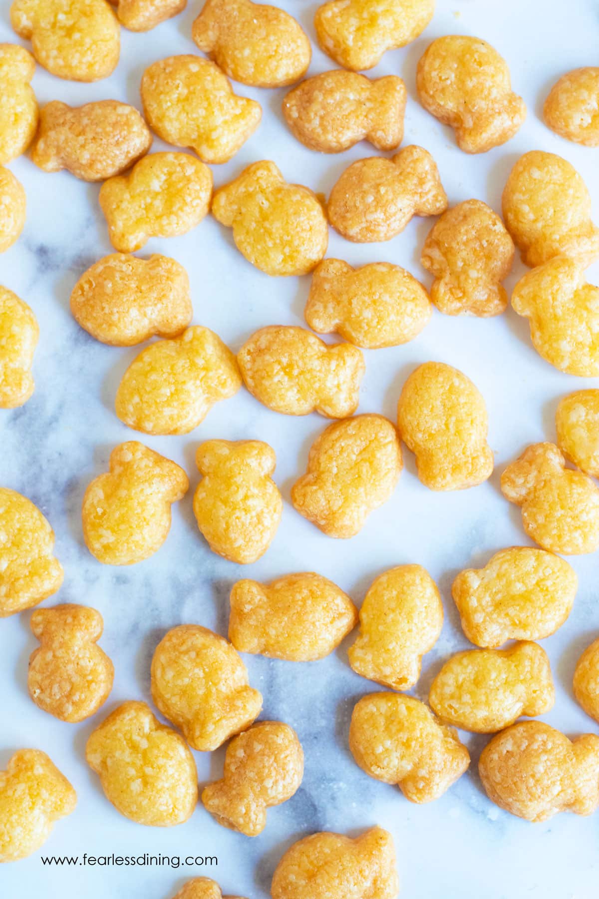 Lots of baked gluten free goldfish on the counter.