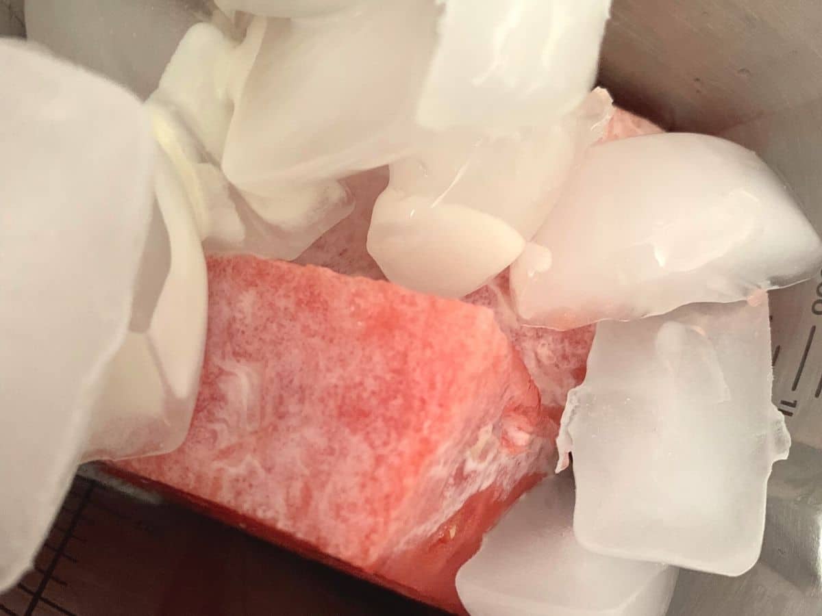 Watermelon and ice in the blender.