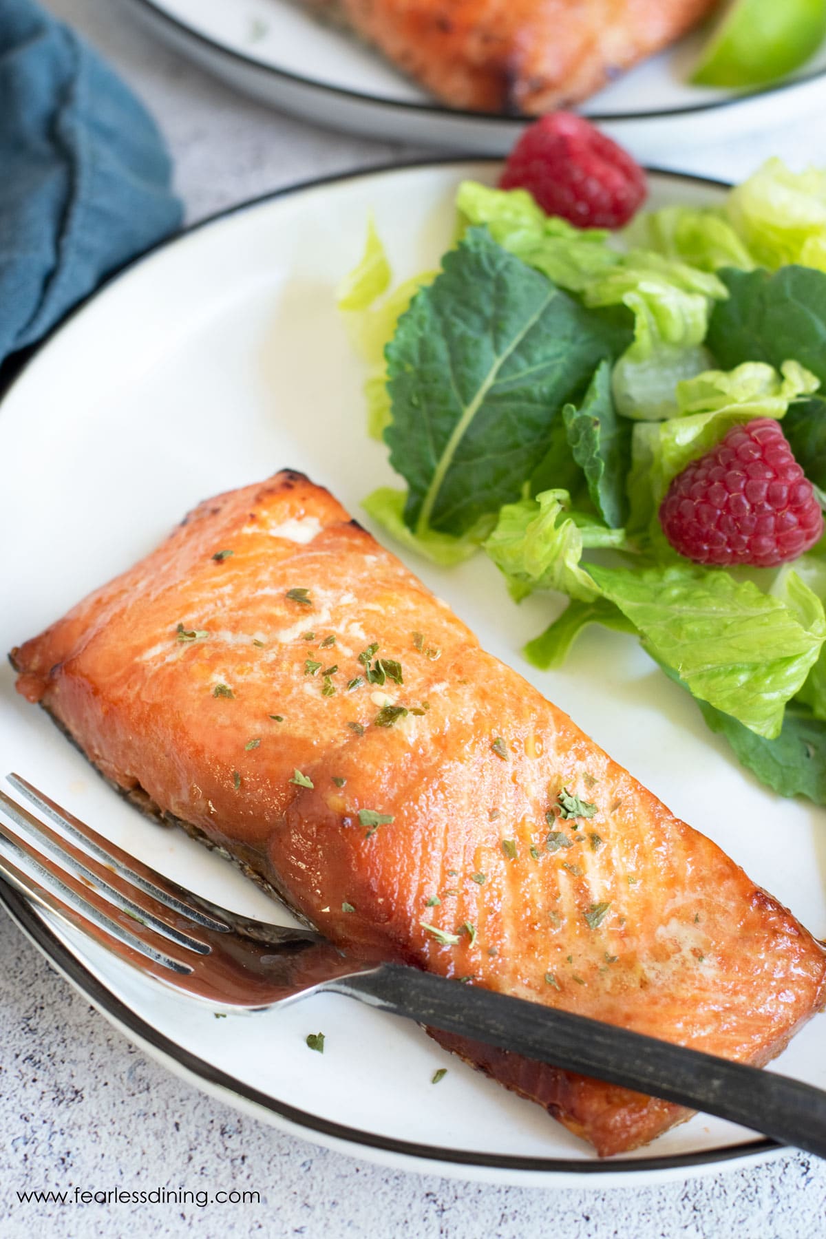 A piece of air fried salmon on a plate with salad.