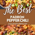 pinterest pin with chili images