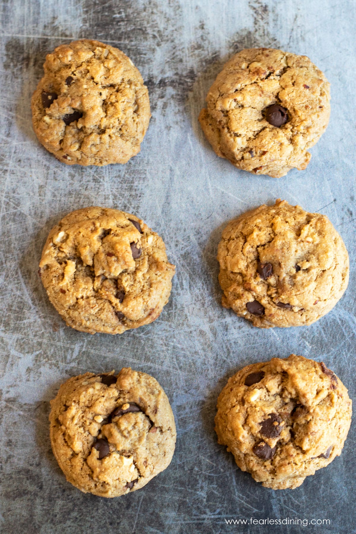 Six baked chocolate chip hazelnut cookies on a cookie sheet.