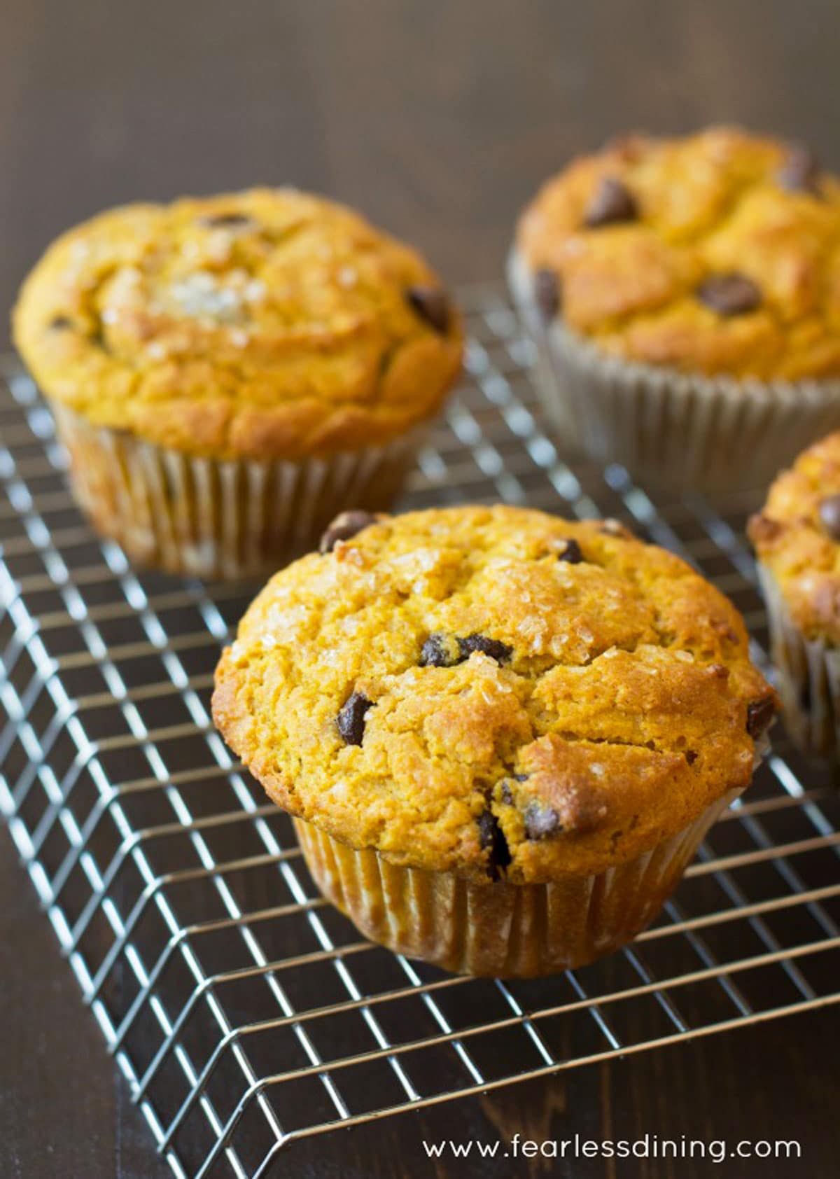 Pumpkin muffins cooling on a rack.