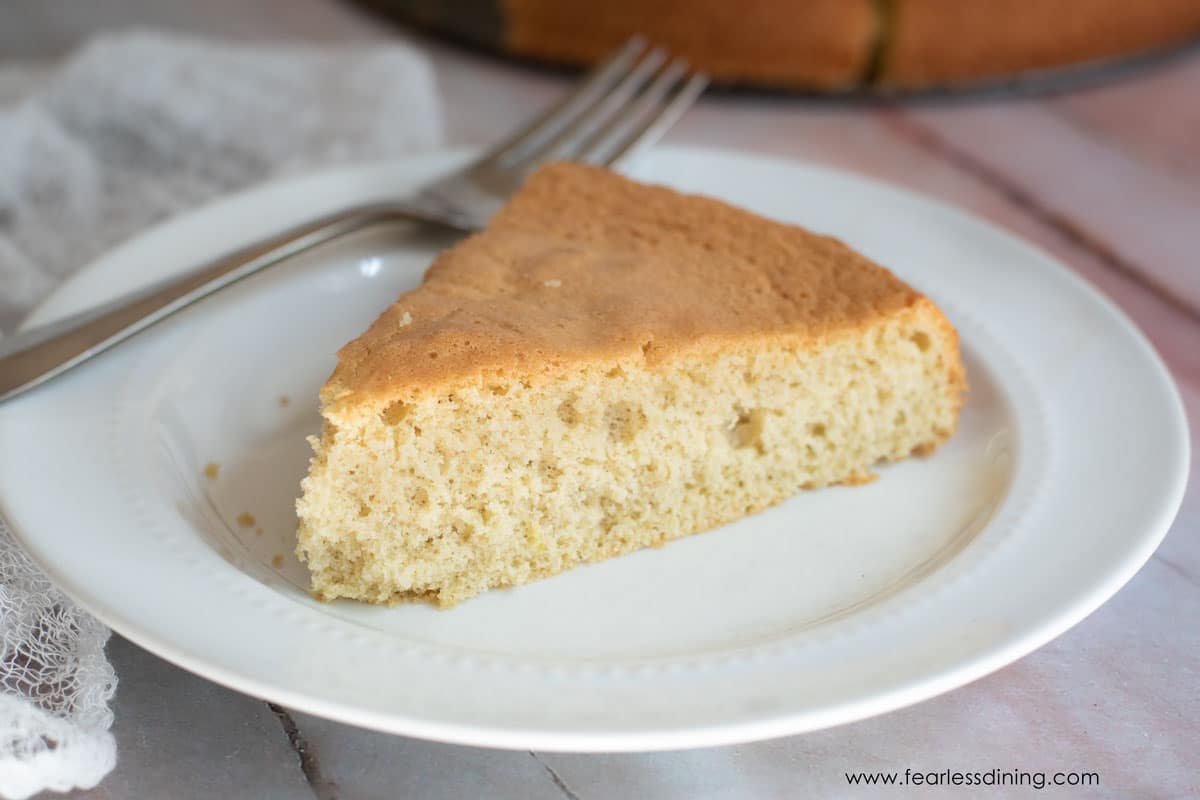 A close up of a slice of gluten free sponge cake.