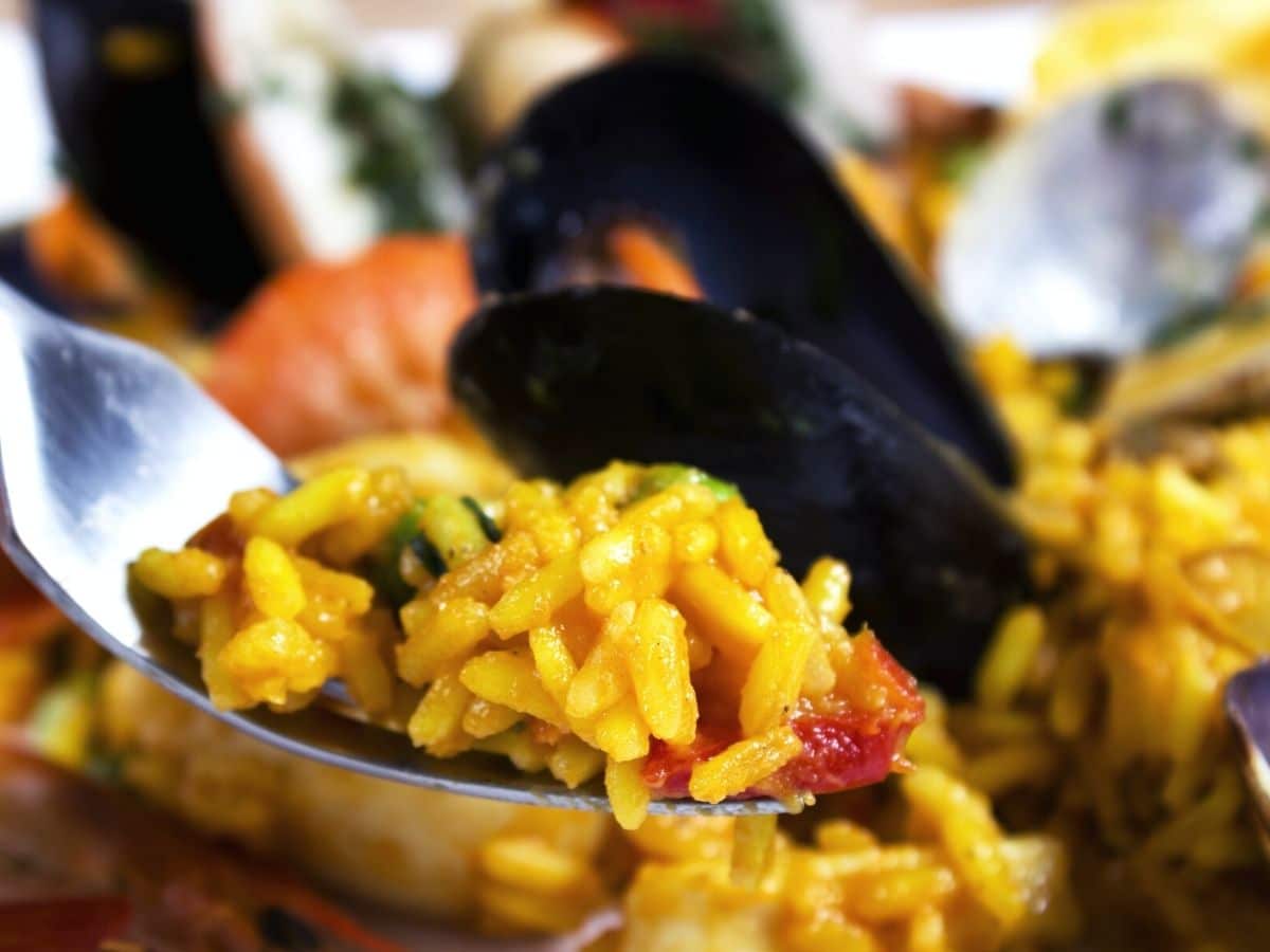 A closeup of a forkful of paella.