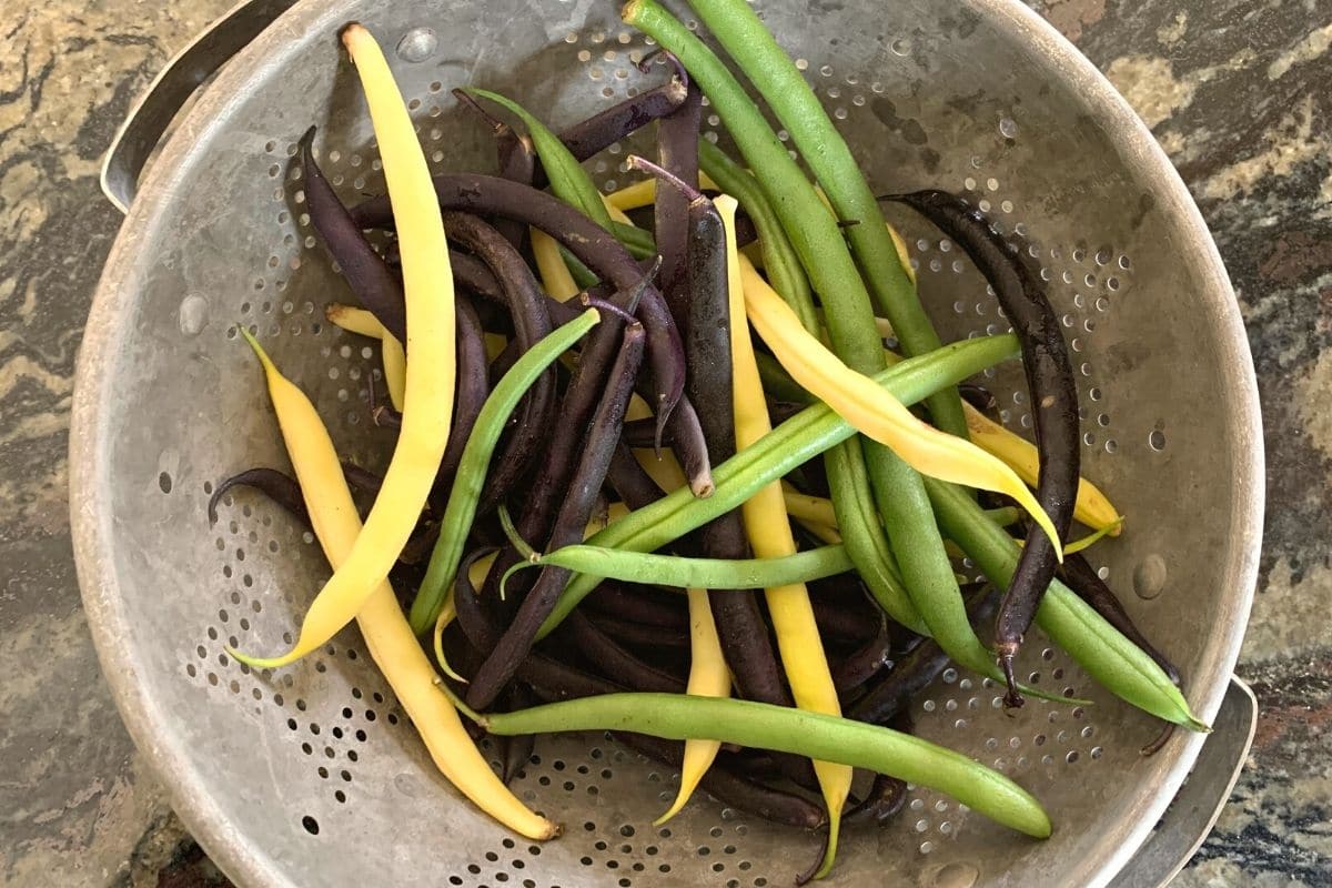 Washed green beans in a collander.