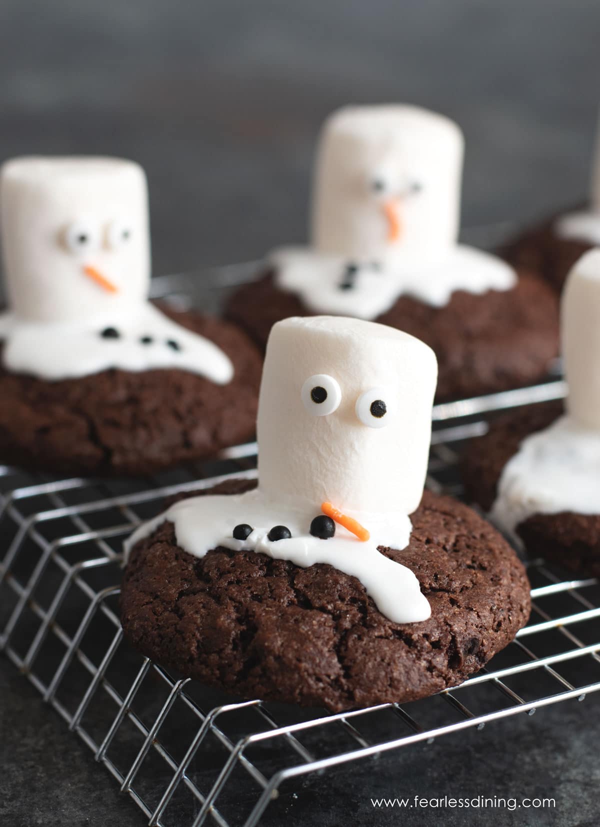 Some gluten free melted snowmen on the chocolate cookies.