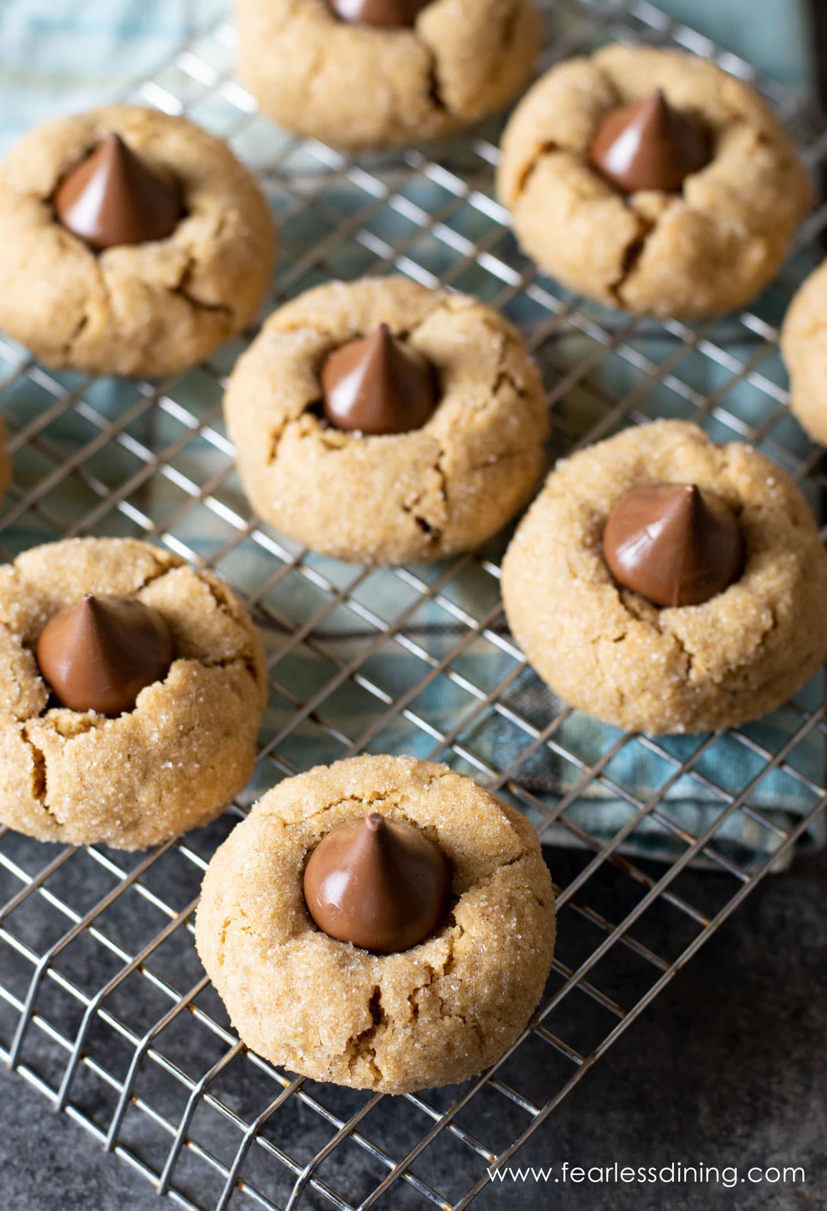 Peanut butter blossoms cooling on a rack.