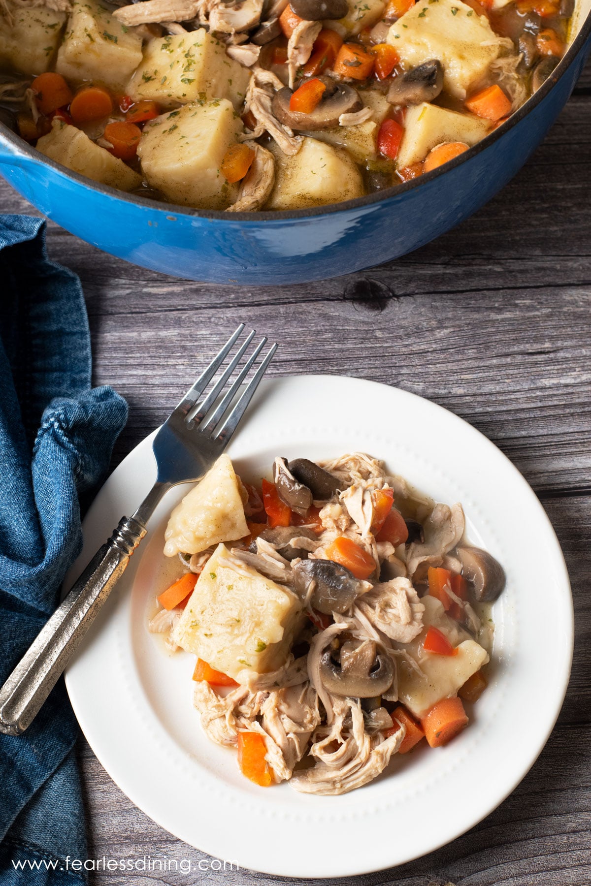 The top view of a plate full of chicken and dumplings.