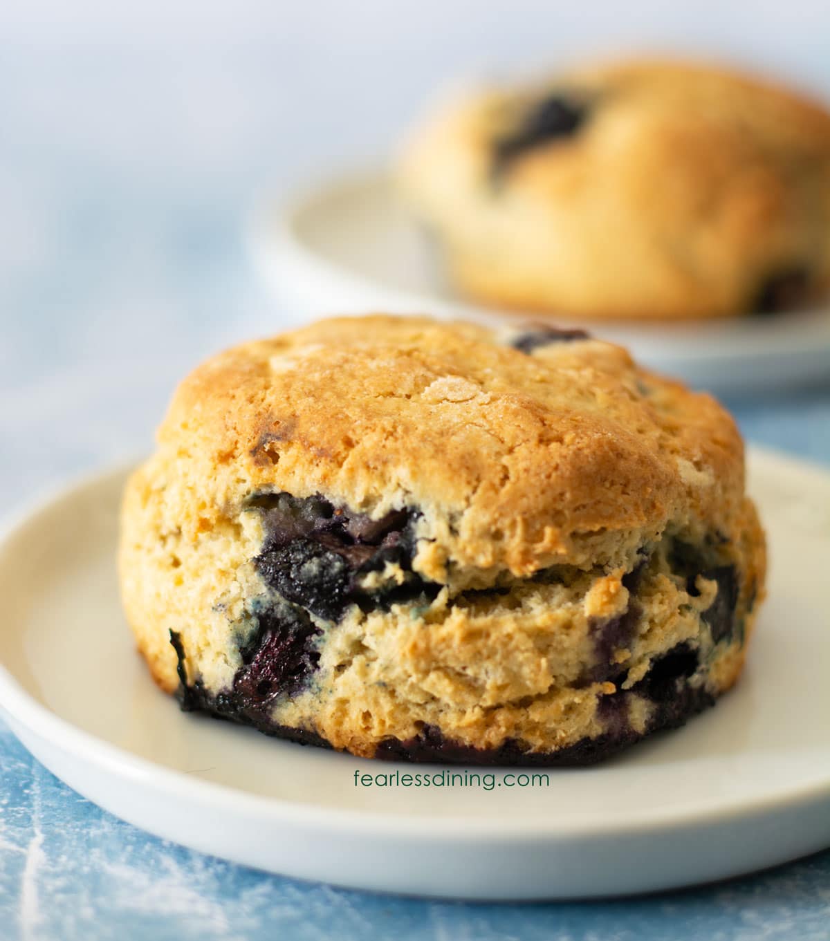 Two scones with blueberries on two white plates.