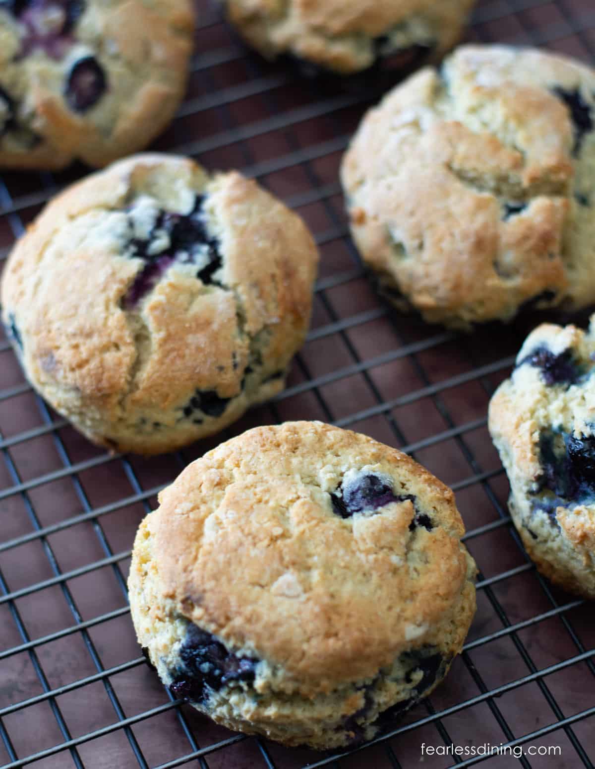 Gluten-free blueberry scones on a cooling rack.
