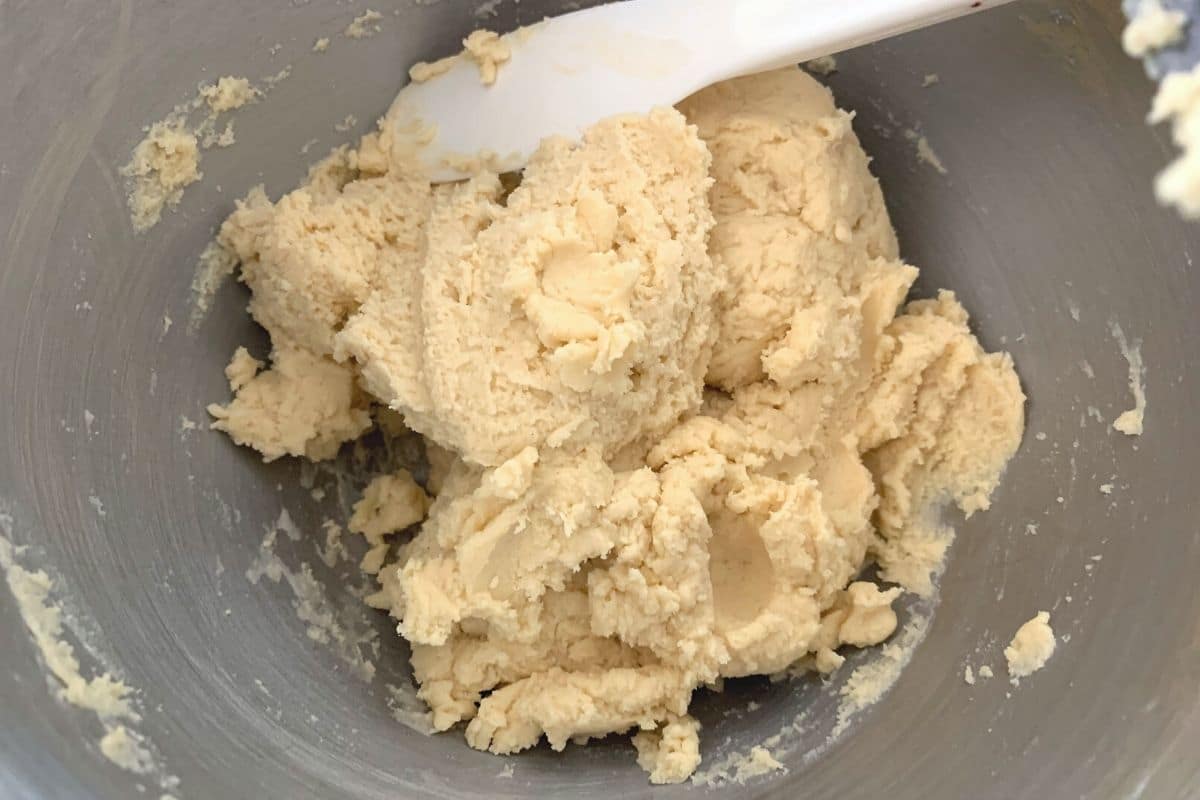 a photo of what the brioche dough should look like.