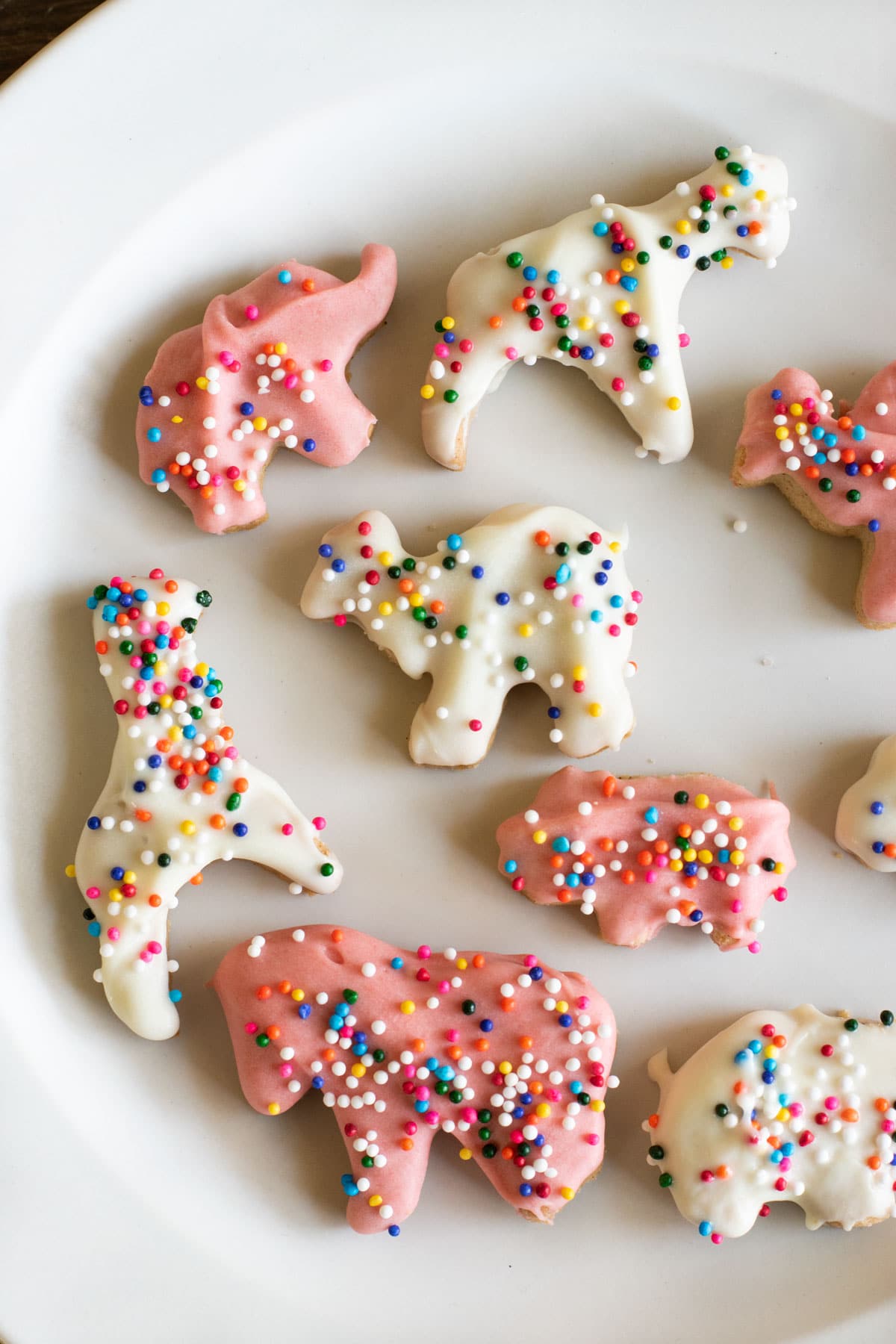 Gluten free circus cookies on a plate. They are coated in white and pink chocolate with sprinkles.