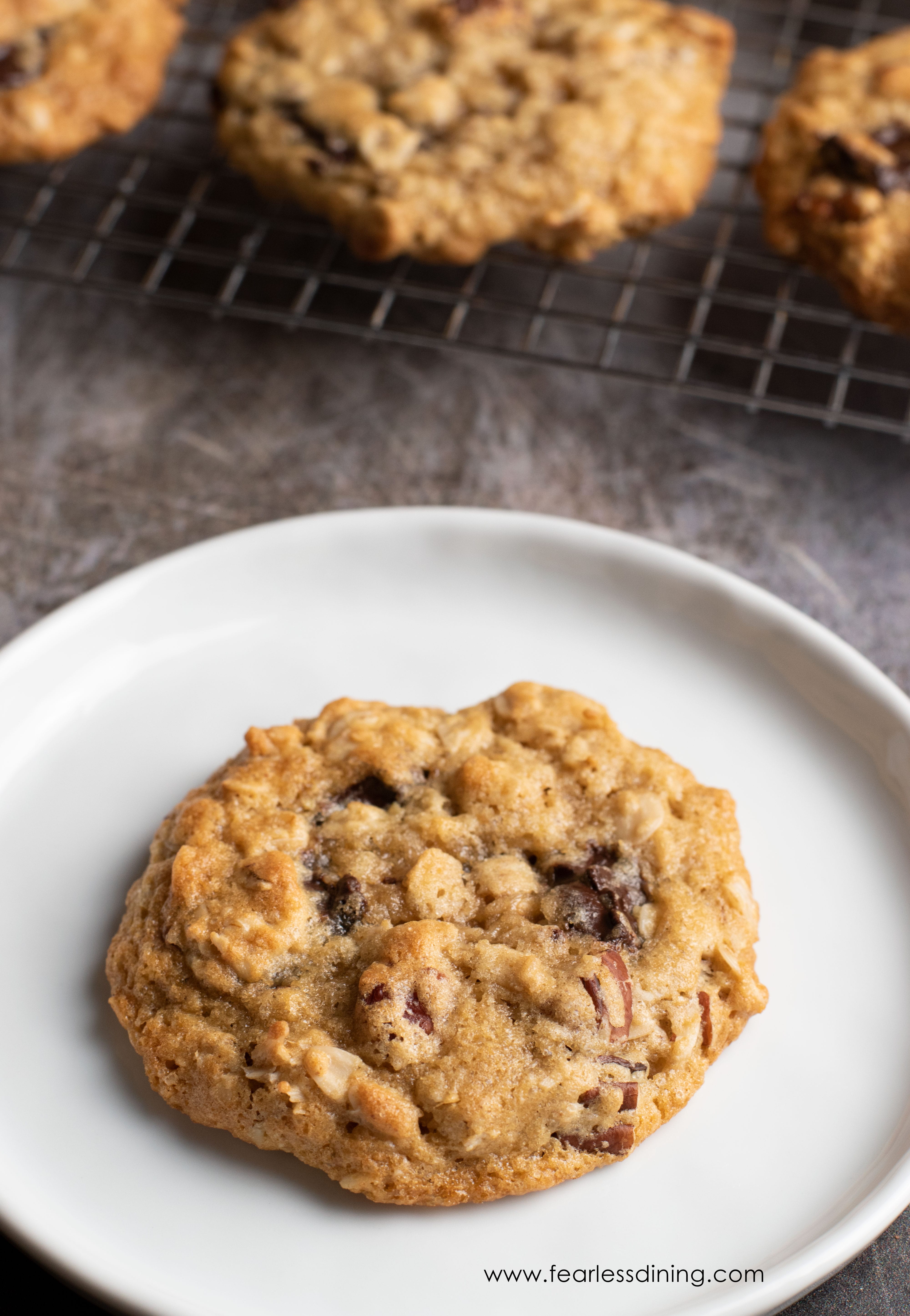 A gluten free oatmeal chocolate chip cookie on a white plate.