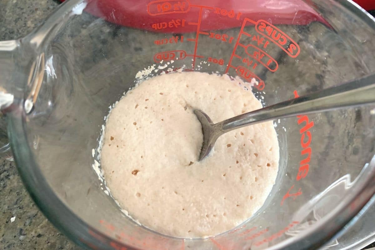 Yeast proofing in a glass measuring cup.