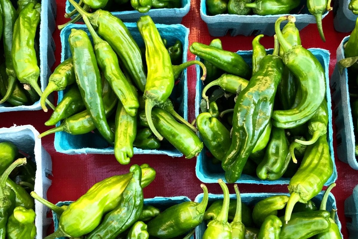 Shishito peppers at the farmer's market in little baskets.