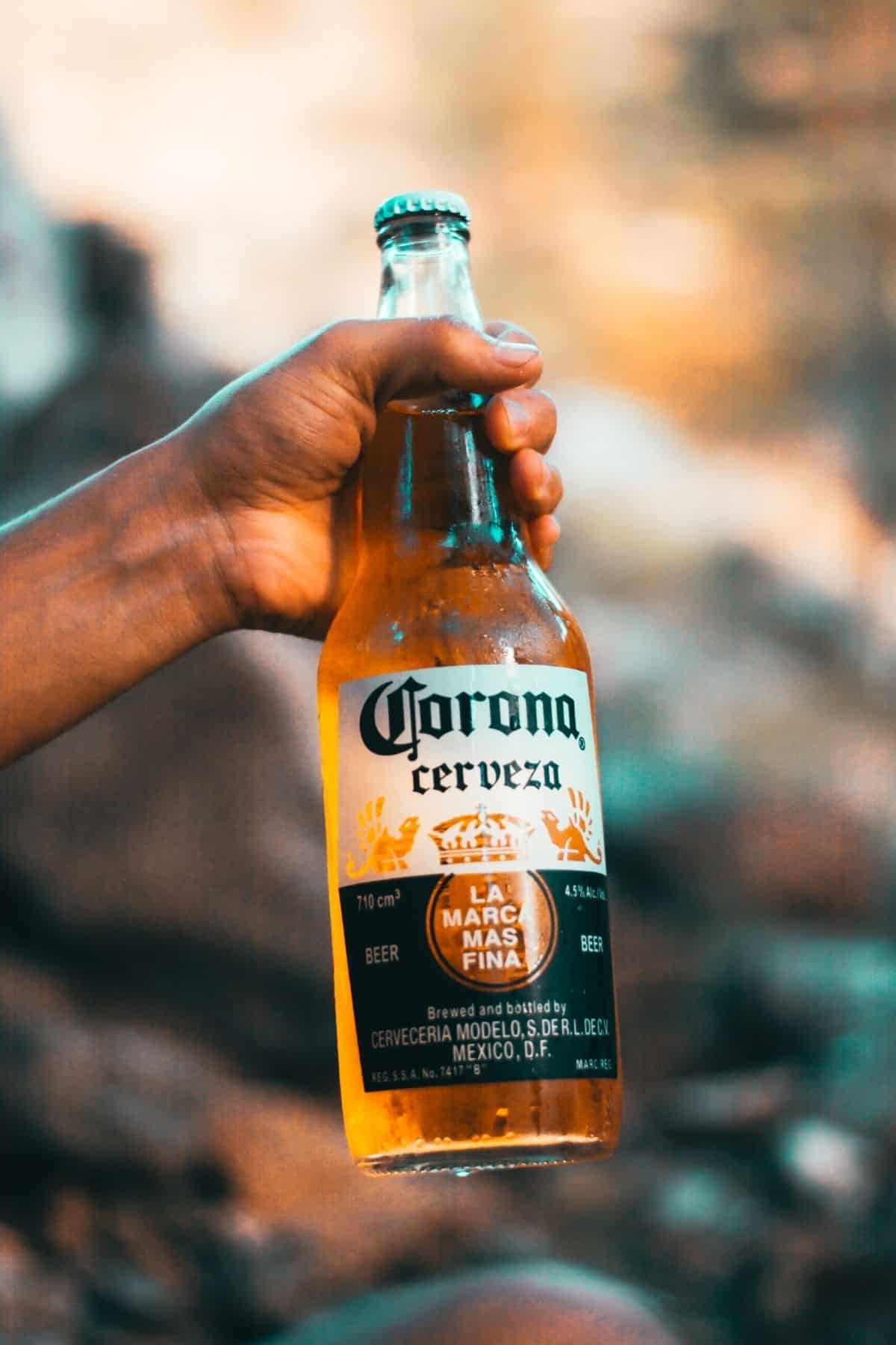 A hand holding a bottle of corona beer.