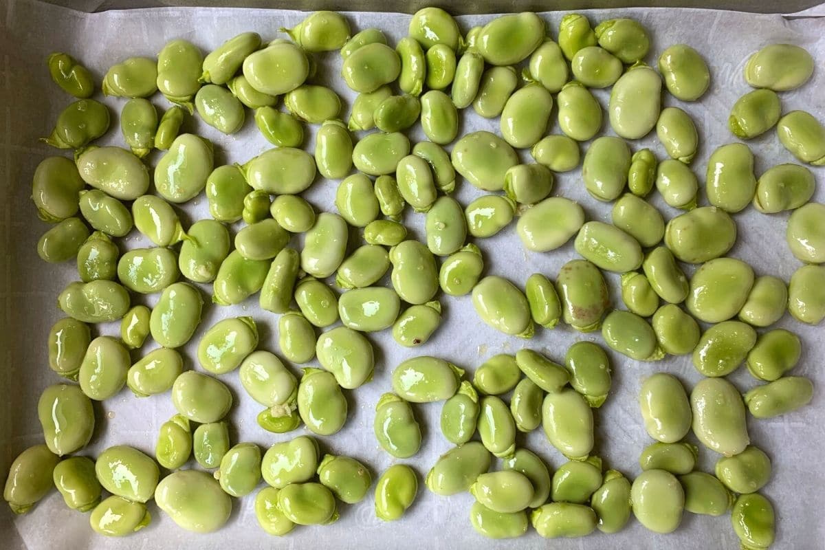 Seasoned fava beans on a baking sheet.