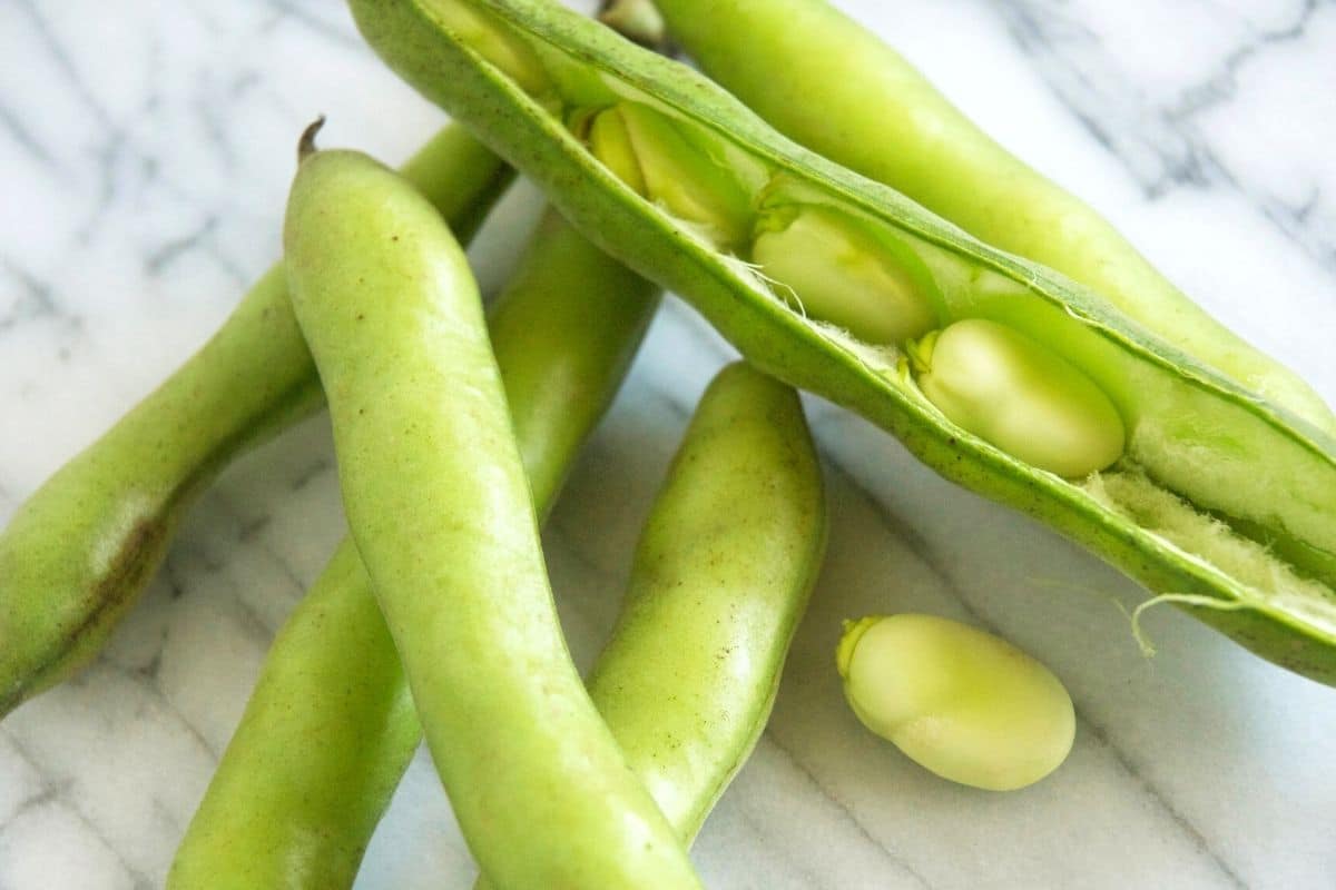 Fava beans on the counter. One is open so you can see the beans inside.