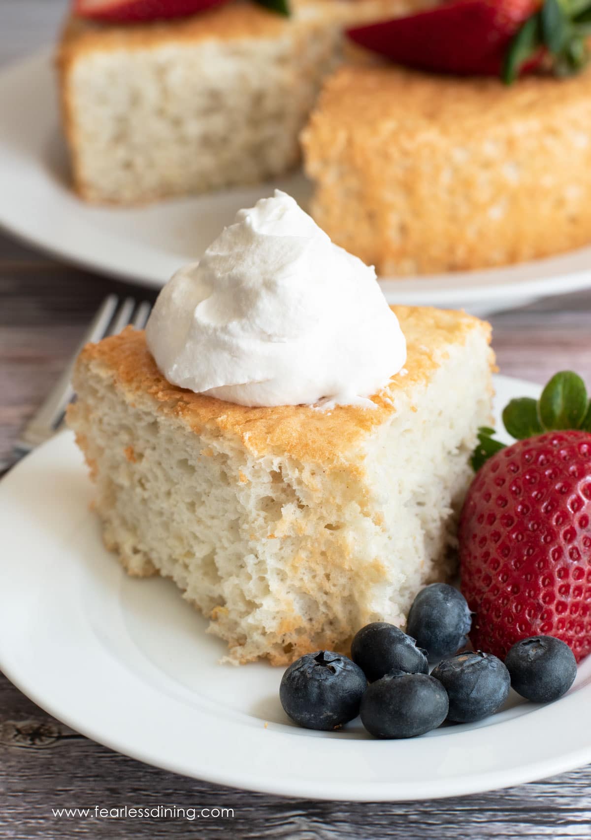 A slice of angel food cake with whipped cream.