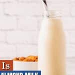 almond milk pin image.