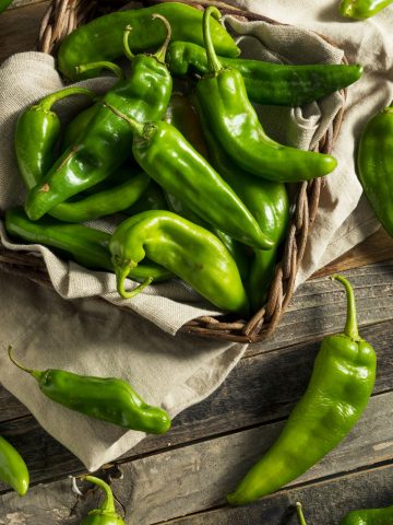 a basket of fresh picked hatch chile peppers.