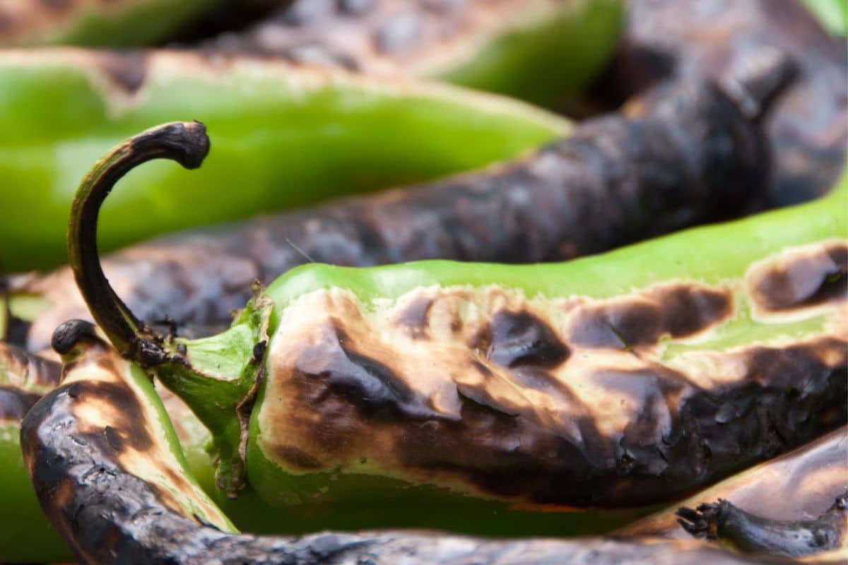 A close up of a hatch chile with charred skin.